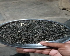 Black Urad for sale in Sangli