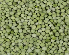 Dried green Green Peas for sale in Sagar