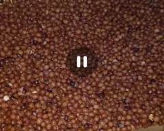 Indian Tur Dal for sale in Vijayapura