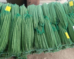 A Grade Quality Drumstick for sale in Perambalur