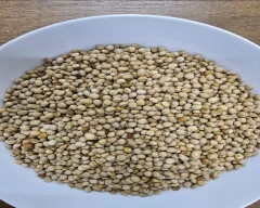 Other Tur for sale in Kachchh