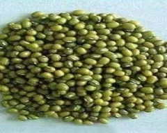 A Grade Quality Moong for sale in Jalgaon