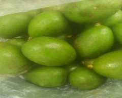 Normal Avocado for sale in Idukki