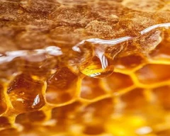 Normal Honey for sale in Viluppuram