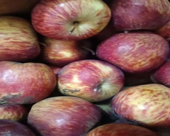Royal Apple for sale in Rohtak