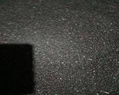 Indian Urad Dal for sale in Lalitpur