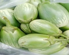 Normal Brinjal for sale in Bargarh