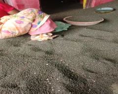 Black Urad for sale in Damoh