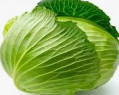 A Grade Quality Cabbage for sale in Hyderabad