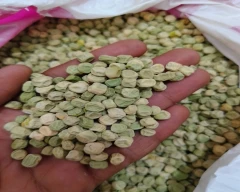 Normal White Peas for sale in Ujjain