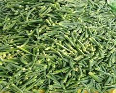 Normal Ladys Finger for sale in Shamli