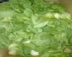 A Grade Quality Ginger for sale in Sirmaur