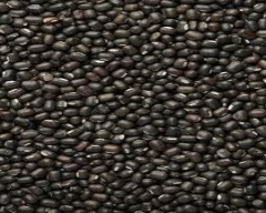 Black Urad for sale in Guntur