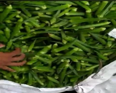 Normal Ladys Finger for sale in Patna