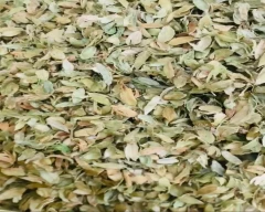 Other Cardamom for sale in North West Delhi