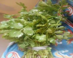 Normal Coriander Leaves for sale in Indore