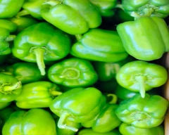 Normal Capsicum for sale in Solapur