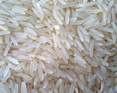 1509 Basmati Rice for sale in Bareilly