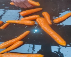 Zubera Carrot for sale in Nilgiris