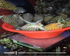 A Grade Quality Pineapple for sale in Thane