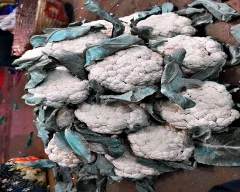 NBH - HAPPY (101) Cauliflower for sale in Ahmedabad