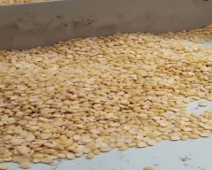 Normal Moong Dal for sale in Hoshangabad