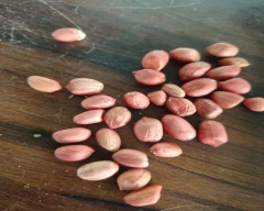 Normal Groundnut for sale in Mandsaur