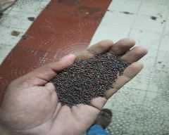 Black Mustard for sale in Mandsaur