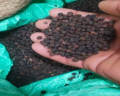 9+ Pepper for sale in Uttara Kannada