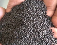 Normal Chia seed for sale in Mandsaur