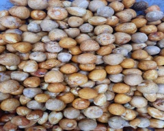 Normal Arecanut for sale in Kozhikode