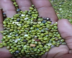Normal Moong for sale in Sikar