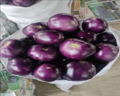 Bharta Brinjal for sale in Hathras