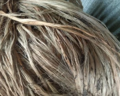 B Grade Quality Jute for sale in Nadia