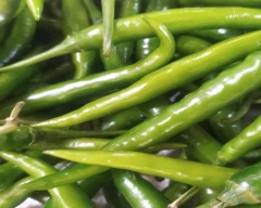 Other Green Chilli for sale in Kolhapur