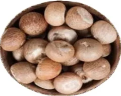 Normal Arecanut for sale in South East Delhi