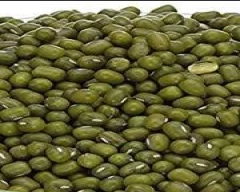 Normal Moong for sale in Mandsaur