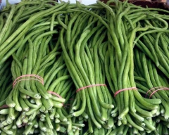 Normal Cowpea for sale in Nuapada