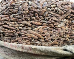 A Grade Quality Tamarind for sale in Kondagaon