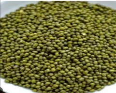 B Grade Quality Moong for sale in Hanumangarh
