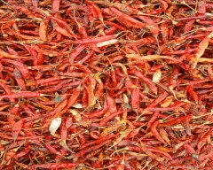 Other Dry Chilli for sale in Khargone