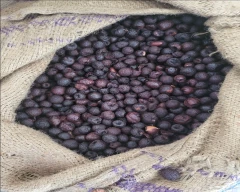 Rashi Arecanut for sale in Salem
