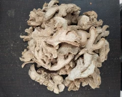 A Grade Quality Dried Ginger for sale in Nashik