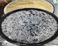 1509 Basmati Rice for sale in Kaithal