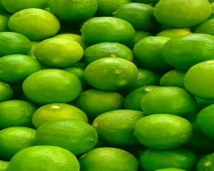 A Grade Quality Lemon for sale in Tenkasi