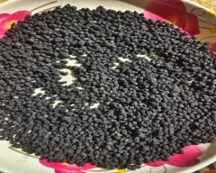 Black Pepper for sale in Kolkata