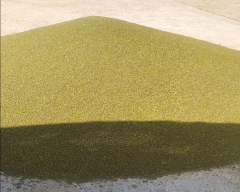 A Grade Quality Moong Dal for sale in Bikaner
