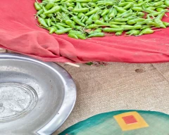 Other Green Chilli for sale in Sitamarhi