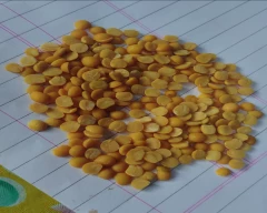 Indian Tur Dal for sale in Erode