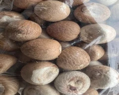 Normal Arecanut for sale in Guntur